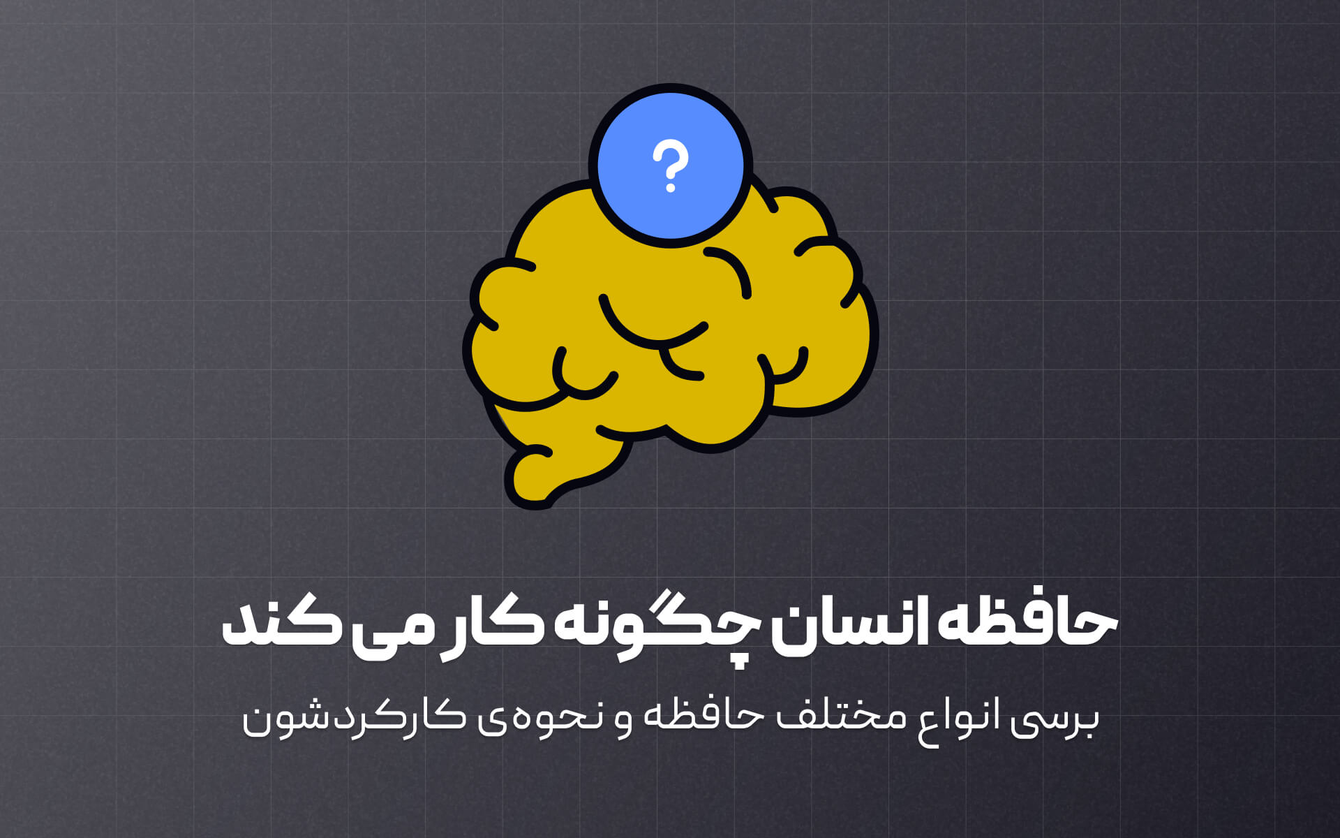 حافظه انسان چگونه کار می کند